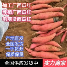 <font color=red>西瓜</font>红产地直发，大果