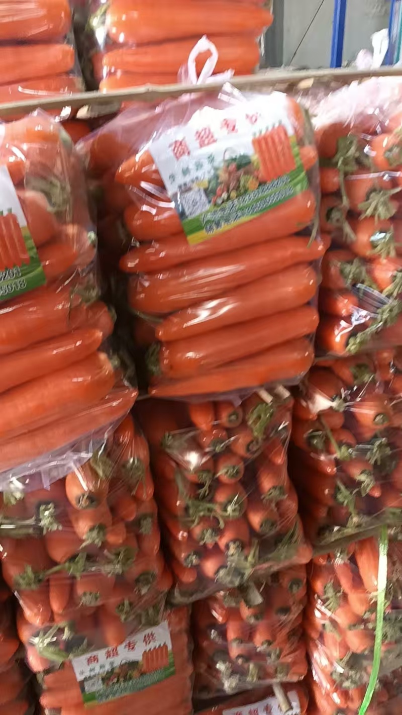 精品三红胡萝卜产地直发价格低，对接市场、电商商超等，视频