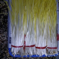 精选山东莱芜蒜黄 从业十五余年 诚信经营 致电留言有优惠