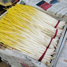 精选山东莱芜蒜黄 从业十五余年 诚信经营 致电留言有优惠