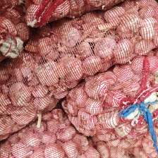 新蒜出炉一天两个挂，欢迎关照