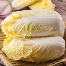 精品大娃娃菜，毛菜、净菜，提供各种包装，提供大型冷库加工