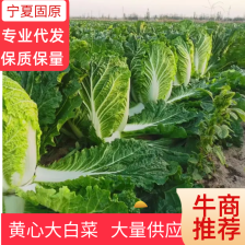 余航蔬菜批发