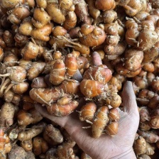 美丽香村农副产品商行