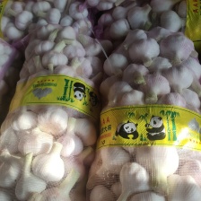 山东优质大蒜 金乡大蒜 专业对接商超、出口等量大从优