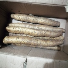 平度山药大量供应，白玉山药，面的。