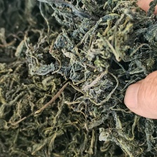 好山，好水，好香椿芽咸菜，味美可口！