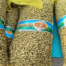 (推荐)小白嘴新<font color=red>山药</font>豆大量有货基地直