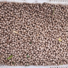 (推荐)小白嘴新山药豆大量有货基地直供欢迎下单