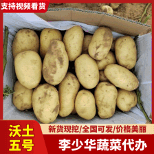 荷兰十五<font color=red>土豆</font>可代收代发全国，视频看货