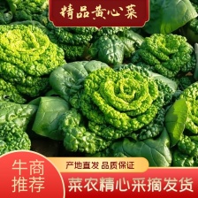 阳光生态农业