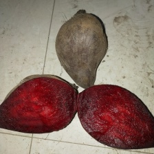 全国各地红甜菜  紫旮瘩  甜菜根