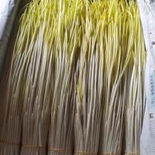山东头茬蒜黄，新鲜现割，产地货源，50到60厘米现割的