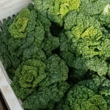 本地特色黄心菜，纤维少，霜后口感更佳，本地直销，代收代发