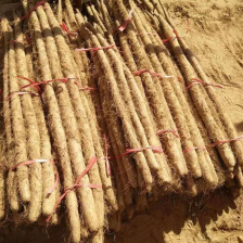 【电商货】河北铁棍<font color=red>山药</font> 网袋<font color=red>山药</font> 软