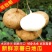 地瓜 凉薯 豆薯 沙葛 产地一手货源，量大从优，支持发货