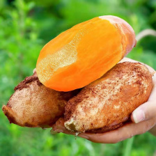 云南天山雪莲果红泥沙雪莲果大果一整箱14-15公斤装批发