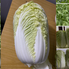 【牛商推荐】河北精品娃娃菜，新鲜上市，现摘现发，质量保证