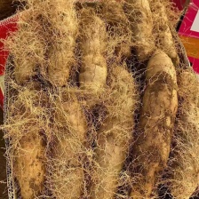 毛薯。产地直发。一手货源。实力卖