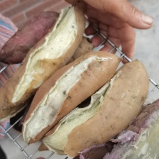 (烤薯店专用)山东正宗烟薯红皮红心糖