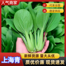 上海青，精品质量，品质保证，价格优惠，实力精选，诚信第一