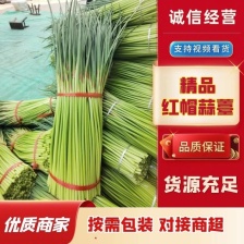 蒜苔红帽，白帽，大量出库，保质保量，大量有货供应，随到随