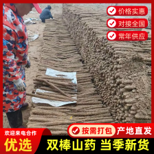 河南安阳杨现志山药代办处