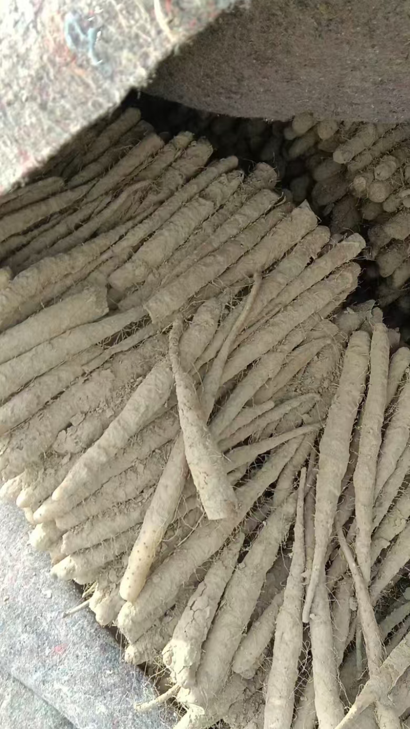 河南安阳杨现志山药代办处