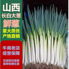 山东长白<font color=red>大葱</font>，葱白长45左右，自家种