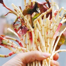 郭慧霞蔬菜生鲜批发铺