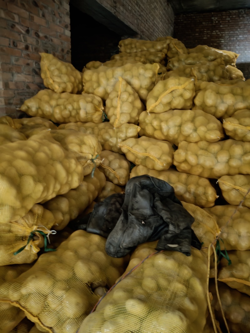 老高农产品批发市场