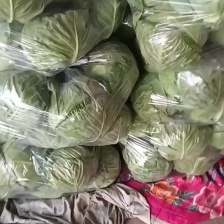 贵州高山甘蓝 产地直发 量大从优 质量保证 现采现摘电联