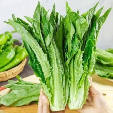 本地精品油麦菜