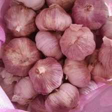 云南大理弥渡县紫皮干蒜大量上市代办代发批发服务