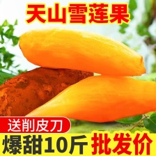 云南高原雪莲果云南雪莲果/产地货源/质量三包/一件代发