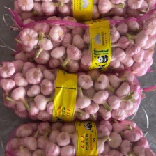 【推荐】河南优质白皮蒜，产地直供，全国发货，品质保证