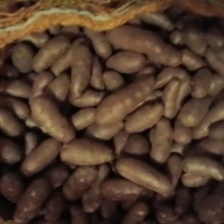 炒糖球<font color=red>山药</font>豆