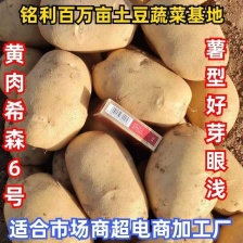 甘肃定西沙面土豆 黄心土豆 新鲜马铃薯 产地直发电联