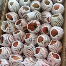 山东潍坊草莓柿子，产地一手货源充足，视频看货