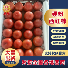 山东潍坊草莓柿子，产地一手货源充足，视频看货