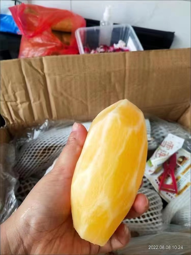 （现货）25年雪莲果主产区合作社一件代发社区团购供货