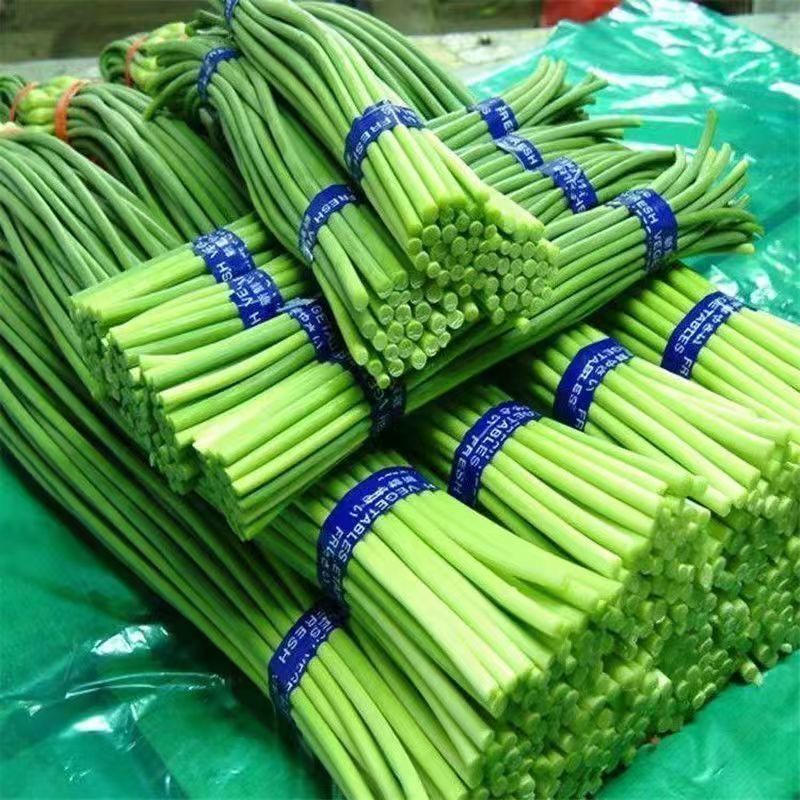 【新鲜便宜】2025年新鲜蒜苔新鲜批发红帽蒜苔蒜毫新蒜薹