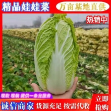 苏北地区精品高山娃娃菜大量供应中！欢迎选购！