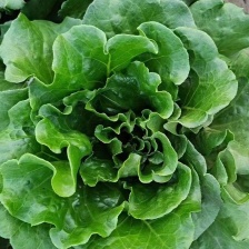 常年有货产地直发 一手货源 保质保量