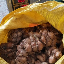 正宗沙姜电商供货量大优惠