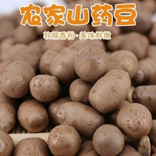 【正宗】河北小<font color=red>山药</font>豆特小特好吃的一种