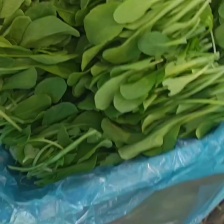 需要的赶快联系