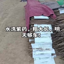 （优选）宁夏白玉<font color=red>山药</font>/沙地种植/产地