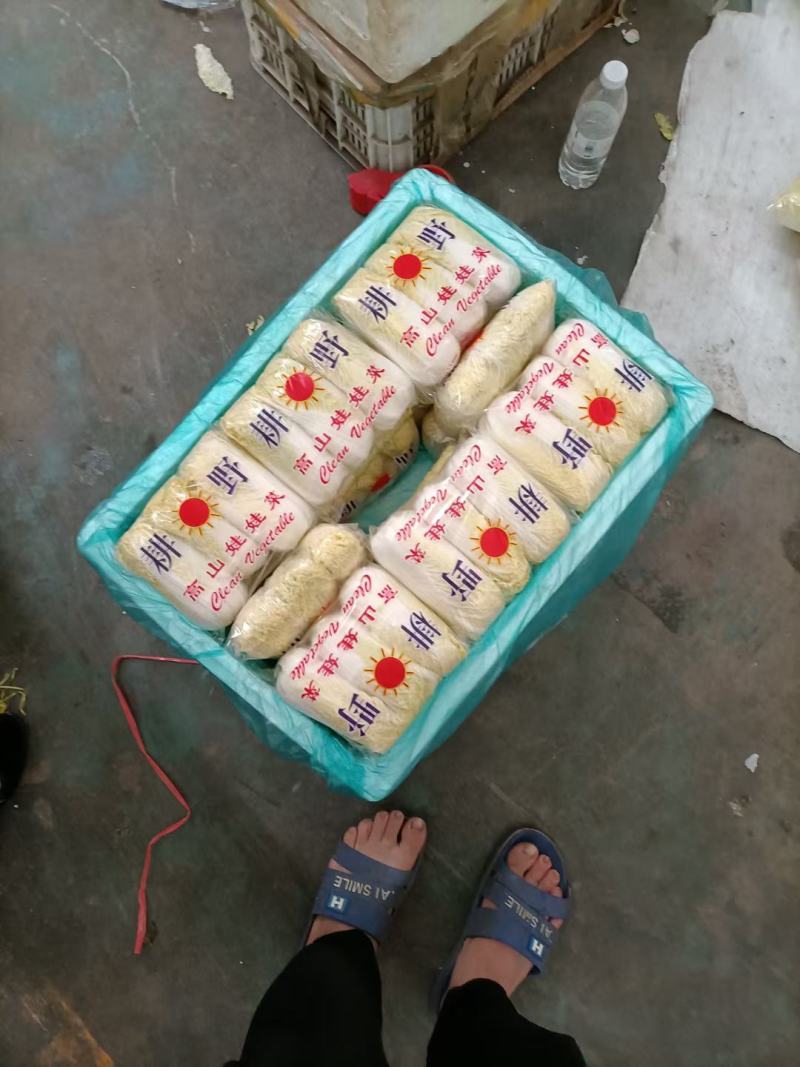 娃娃菜河南鹿邑优质娃娃菜，可视频看货，支持线上交易，欢迎