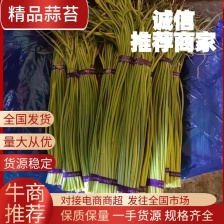 平邑红帽蒜苔，精选蒜薹，长度30以上可视频看货全国可代发